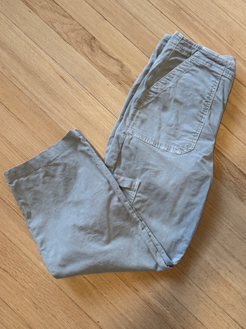 Marine Layer Cargo Pants. sage green sz 10